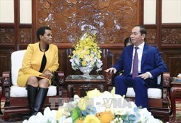 Chủ tịch nước Trần Đại Quang tiếp Đại sứ Nam Phi chào kết thúc nhiệm kỳ